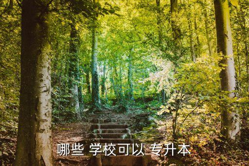 哪些 學(xué)?？梢?專升本