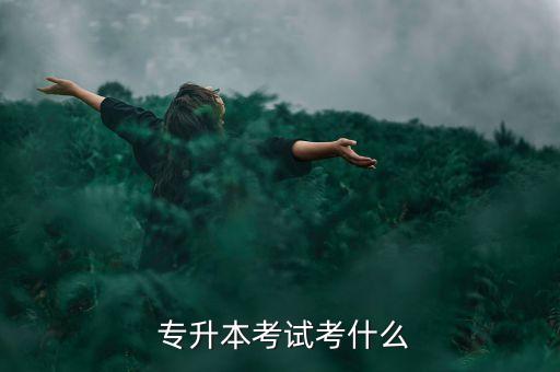 甘肅專(zhuān)升本英語(yǔ)統(tǒng)考,專(zhuān)升本文科考試科目:大學(xué)語(yǔ)文大學(xué)英語(yǔ)
