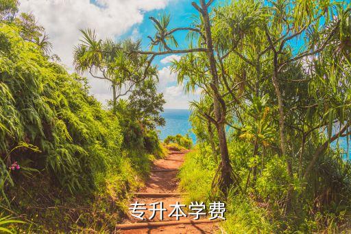 專升本花錢買多少錢,專升本學(xué)費(fèi)不固定主要和申請方式有關(guān)