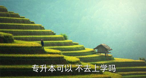 會計專升本可以不去嗎,專升本報名不去等于自動放棄考試機(jī)會