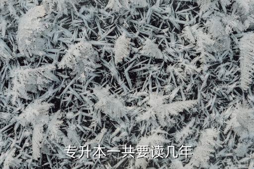 專升本書(shū)一直不換,2023年不能買(mǎi)書(shū)!高等教育專升本