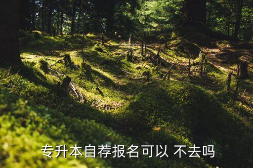  專升本自薦報(bào)名可以 不去嗎