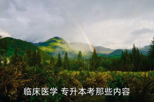 臨床醫(yī)學 專升本考那些內(nèi)容