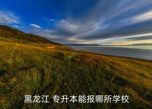  黑龍江 專升本能報哪所學校