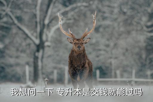 我想問一下 專升本是交錢就能過嗎