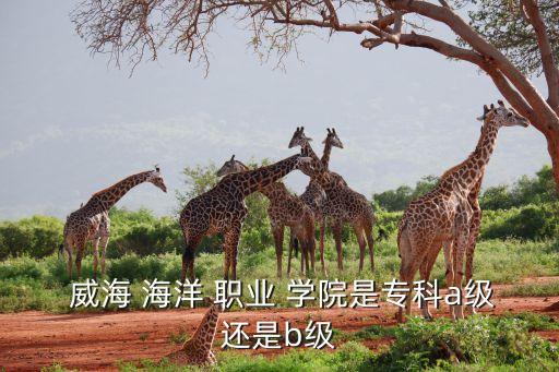 威海 海洋 職業(yè) 學(xué)院是專科a級(jí)還是b級(jí)