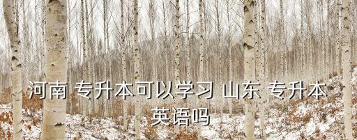 山東專升本英語輔導(dǎo)班,山東考生可跨專業(yè)報(bào)考高等數(shù)學(xué)和專業(yè)課