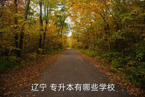  遼寧 專升本有哪些學校