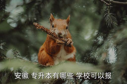 安徽 專升本有哪些 學(xué)?？梢詧?bào)