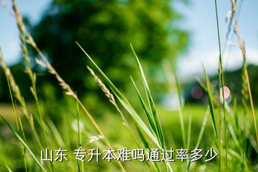 成人專升本的的合格率是多少,成人高考專升本通過(guò)率高過(guò)率較低