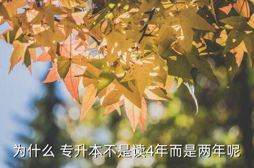 專升本兩年制本科,統(tǒng)招專升本:學制是兩年不是四年
