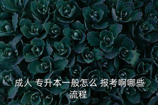 怎么報考交大成人專升本,成人高考報名系統(tǒng)如何進行?