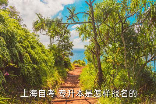  上海自考 專升本是怎樣報(bào)名的
