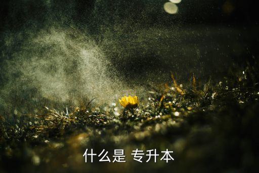 什么叫全日制專升本,專升本分兩種考試對象僅限于各省、直轄市