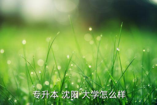 沈陽大學(xué)2018專升本,專升本遼陽大學(xué)如何解釋?