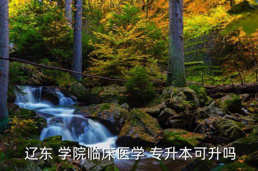 遼東學(xué)院可以專(zhuān)升本嗎,統(tǒng)招專(zhuān)升本更高含金量比專(zhuān)科畢業(yè)生更高