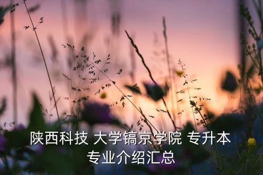  陜西科技 大學鎬京學院 專升本 專業(yè)介紹匯總