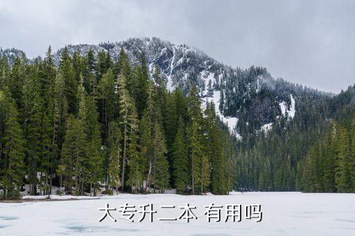  大專(zhuān)升二本 有用嗎