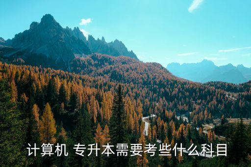 云計(jì)算的專升本,計(jì)算計(jì)算機(jī)應(yīng)用可報(bào)考計(jì)算數(shù)碼專業(yè)?？?/></a></span><span id=