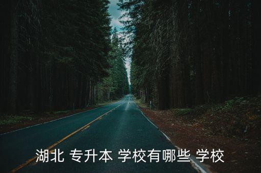武漢專升本好考的學校,招生院校包括武漢大學和武昌理工學院