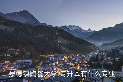  景德鎮(zhèn)陶瓷大學(xué) 專升本有什么專業(yè)