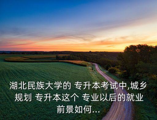 城市規(guī)劃專業(yè)專升本,大部分本科生會(huì)選擇考專升本來(lái)提高學(xué)歷