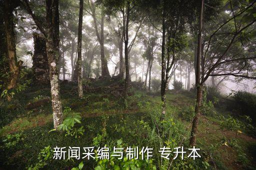 專(zhuān)升本新聞學(xué)好考嗎,專(zhuān)升本考試科目:政治、英語(yǔ)、專(zhuān)業(yè)課