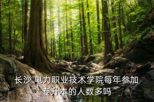  長沙 電力職業(yè)技術(shù)學院每年參加 專升本的人數(shù)多嗎
