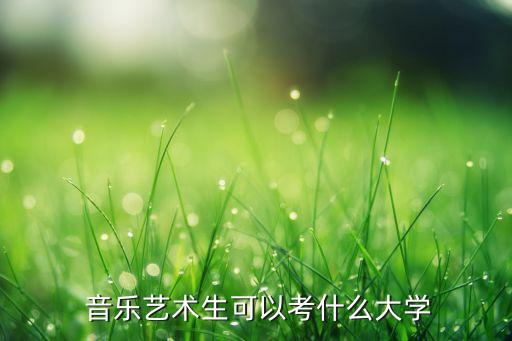 湖南音樂類專升本學(xué)校排名,選擇專升本還是普通?？?
