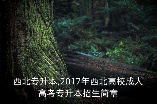 陜西西北專(zhuān)升本,2017年西北高校成人高考專(zhuān)升本招生簡(jiǎn)章