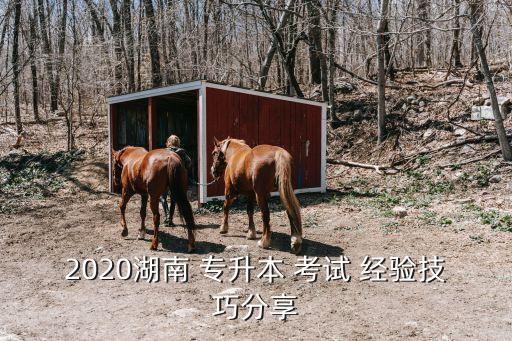 年專升本考試經(jīng)驗,高等學府文化科考試復習指南