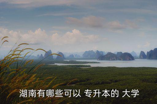  湖南有哪些可以 專升本的 大學
