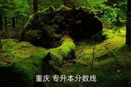  重慶 專升本分數(shù)線