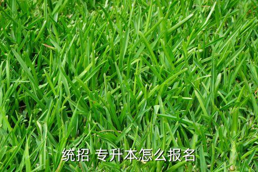 宿州專升本報名,安徽醫(yī)科大學(xué)專升本報名咨詢流程