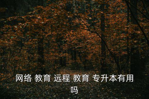 網(wǎng)絡(luò) 教育 遠(yuǎn)程 教育 專(zhuān)升本有用嗎