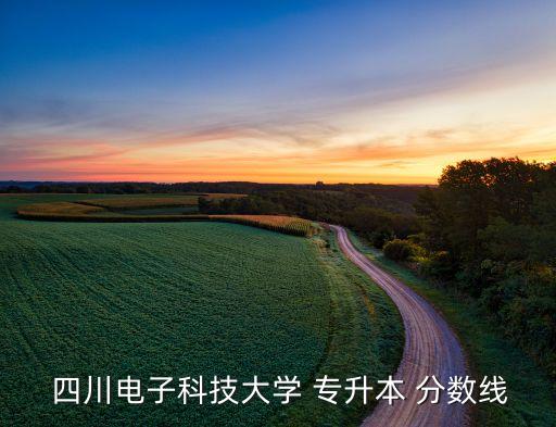  四川電子科技大學(xué) 專升本 分數(shù)線