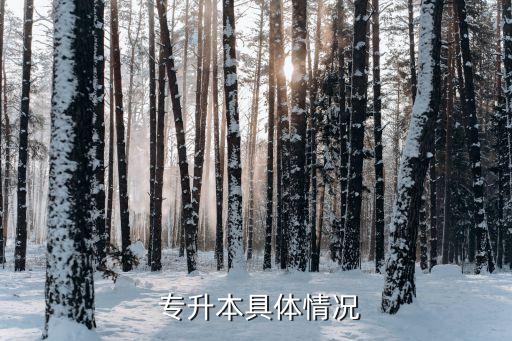 陜西大時代專升本機構(gòu),高等教育專升本是怎么回事?