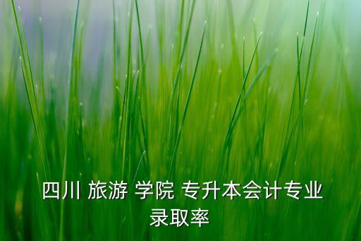  四川 旅游 學院 專升本會計專業(yè)錄取率