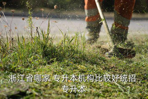 三賢教育專升本怎么樣,浙江統(tǒng)招專升本報(bào)名開始前完成專業(yè)加試