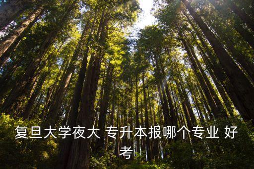 復(fù)旦大學(xué)夜大 專(zhuān)升本報(bào)哪個(gè)專(zhuān)業(yè) 好考