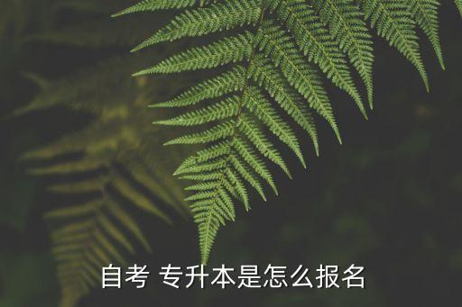 自考 專升本是怎么報(bào)名