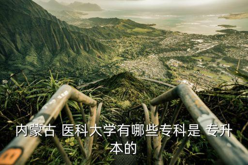 內(nèi)蒙古 醫(yī)科大學(xué)有哪些?？剖?專升本的