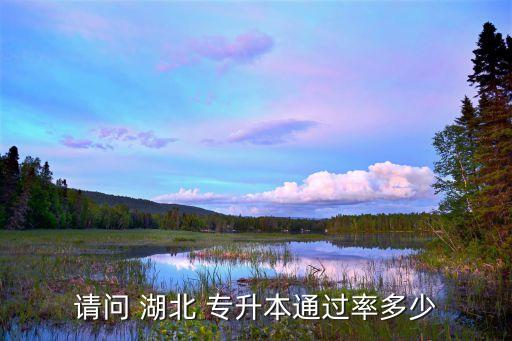 請問 湖北 專升本通過率多少