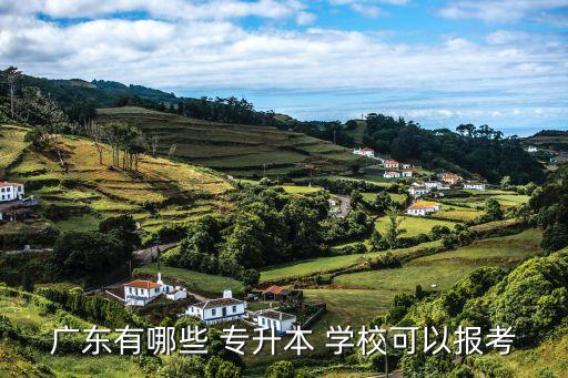 廣東有哪些 專(zhuān)升本 學(xué)?？梢詧?bào)考