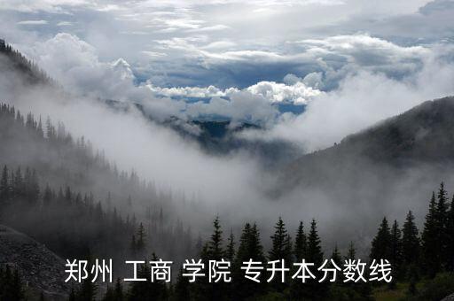  鄭州 工商 學(xué)院 專升本分數(shù)線