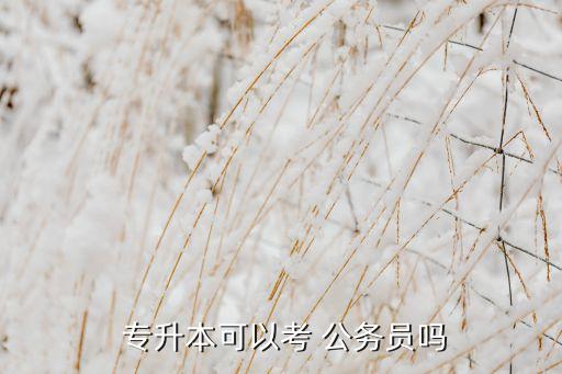 自考專升本公務(wù)員嗎,公務(wù)員報考條件:自考本科畢業(yè)