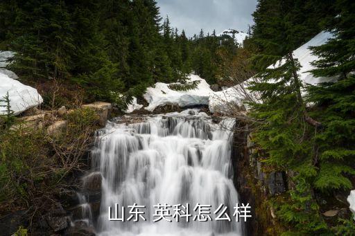山東英科教育專升本,英科集團(tuán)在國(guó)內(nèi)外擁有5000多名員工