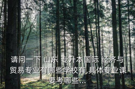 請問一下 山東 專升本國際 經(jīng)濟與 貿(mào)易專業(yè)有哪些學(xué)校有,具體專業(yè)課要考哪些...