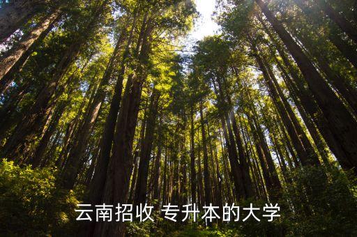 昭通學院專升本群,2022年云南省直升我院包括楚雄師范學院