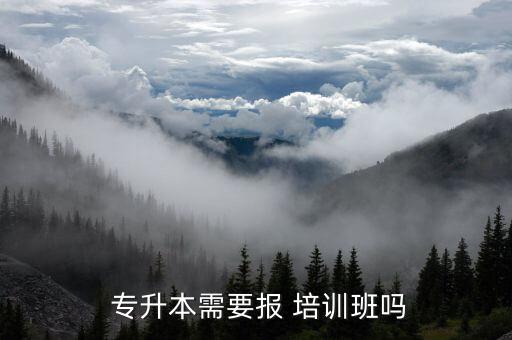 章貢區(qū)專(zhuān)升本培訓(xùn)班,專(zhuān)升本不是每個(gè)學(xué)生都需要接受培訓(xùn)